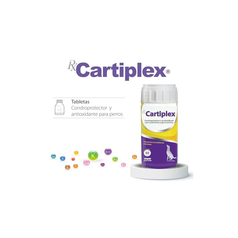 Holland Cartiplex Tabletas