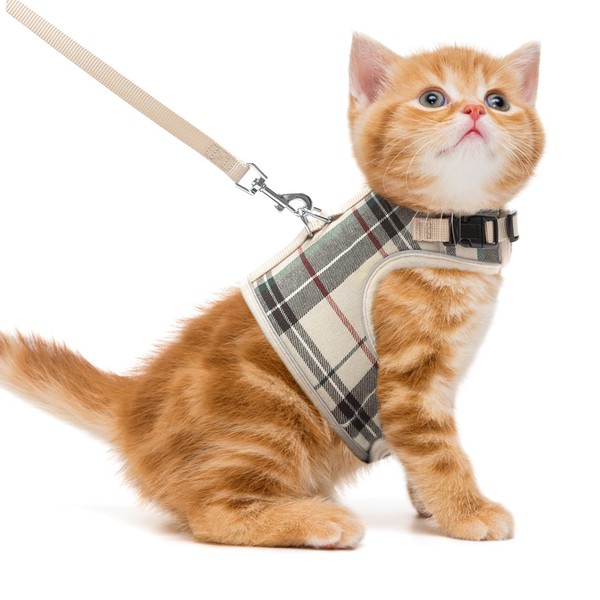 PUPTECK Soft Mesh Cat Vest Harness and Leash Set Puppy