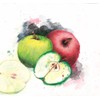 Staedtler Karat Aquarell 125-24 Professional Watercolour Pencils - Scarlet (Pack