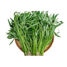 Mai's Family Organic Water Spinach seeds, ,ผักโขม Rau Muống On Choy Brown Seed USA Seller - 1000+