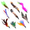 9Pcs Cat Feature Toys Feather Refill Cat Teaser Feather Toys