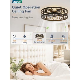 LEDIARY Caged Ceiling Fan with Light and Remote, 20in Small Low Profile Ceiling Fan with Light, 6 Speed Farmhouse Flush Mount Ceiling Fan for Bedroom, Kitchen, Living Room-Black