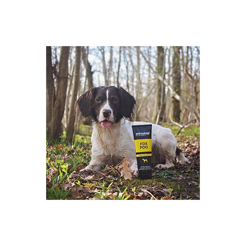 Animology Fox Poo Deodorising Dog Shampoo, Twin Pack, 250ml