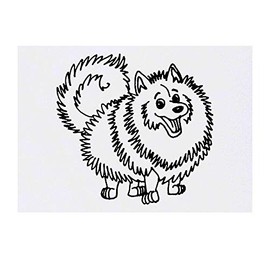 'Pomeranian Dog' Temporary Tattoo - Water Resistant, Skin-Safe, Non-Toxic Transfer (TO00022330)