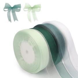 Rairsky 4 Colours of Ribbons, 180 m X 20 mm Satin Ribbon, DIY Hair Accessories Organza Ribbon, Ribbons for Crafting, Ribbons for Gift Wrapping, Green Chiffon Ribbon Bouquets (45 m/Per Volume)