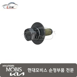 Hyundai Mobis Bolt Washer 25456 2E000 / 볼트 와셔 25456 2E000