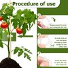 Hillylolly Pack of 300 Plant Clips, Tomatoes, Tomato Clips, White,