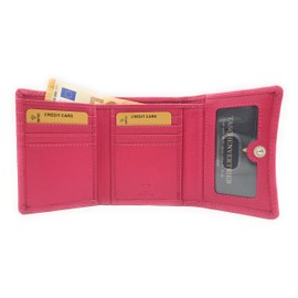 Farbenfrohe Geldbörse Damen klein echt Leder mit RFID Schutz, viele Fächer, Nappaleder (Berry)