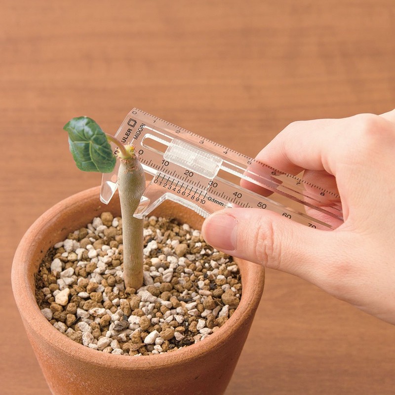 Midori CL Slide Ruler Clear (42260006)