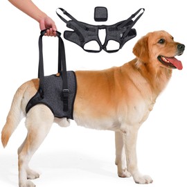 Dog Lifting Harness for Back Legs, Dog Support Harness, Adjustable Walking Aid, Hind Leg Brace for Injured, Elderly Dogs (Dark grey, XL)