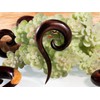 Fly Style Rosewood Spiral Ear Expander, Wood
