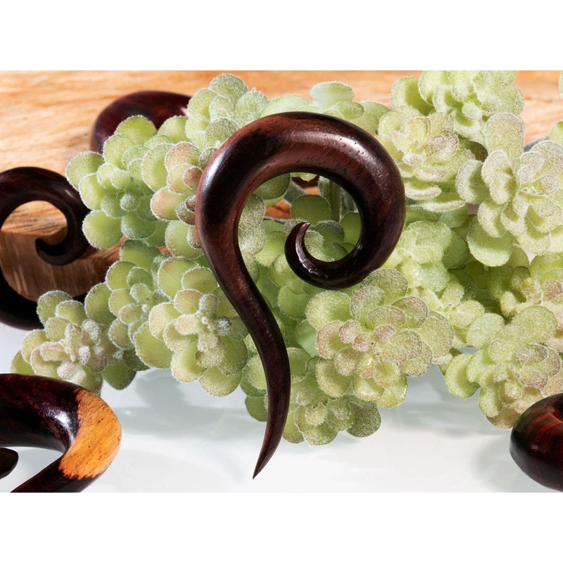 Fly Style Rosewood Spiral Ear Expander, Wood