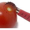 Norpro Descorazonador de Frutas de Acero Inoxidable, Rojo y Acero