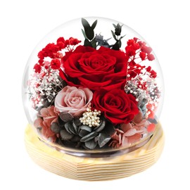 FIACO Gifts for Women Preserved Flowers Eternal Rose in Glass Dome with LED Light, Womens Gifts for Christmas Birthday Gifts Forever Flowers Roses Gifts for Mom Grandma Wife Sister-Red