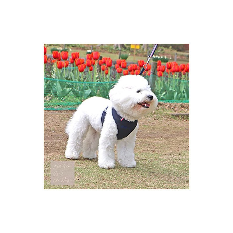Pompolice Long Run Harness, Pet Products Professional Manufacturer Pompolice