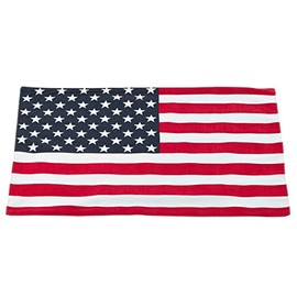 American Flag Design Placemat (Set of 4)