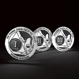 MyRecoveryStore Silver and Black Pirate Alcoholics Anonymous AA Chip w/Coin Capsule AA Yearly Medallion 1-50 Years (Year 48)