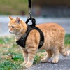 AMIR Cat Harness and Leash for Walking, Breathable Cat Leash