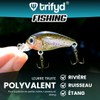 trifyd ® Trout Cranckbait 4cm, Pack of 5 fishing lures