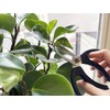 Tijeras japonesas de jardinería, longitud total de 7 pulgadas, para