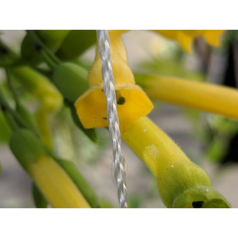 247Garden 6X200FT All-Season Trellis Netting w/ 6in Square Mesh (White,