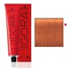 Tinte Schwarzkopf Professional Igora royal Reds tono 8-77 para cabello