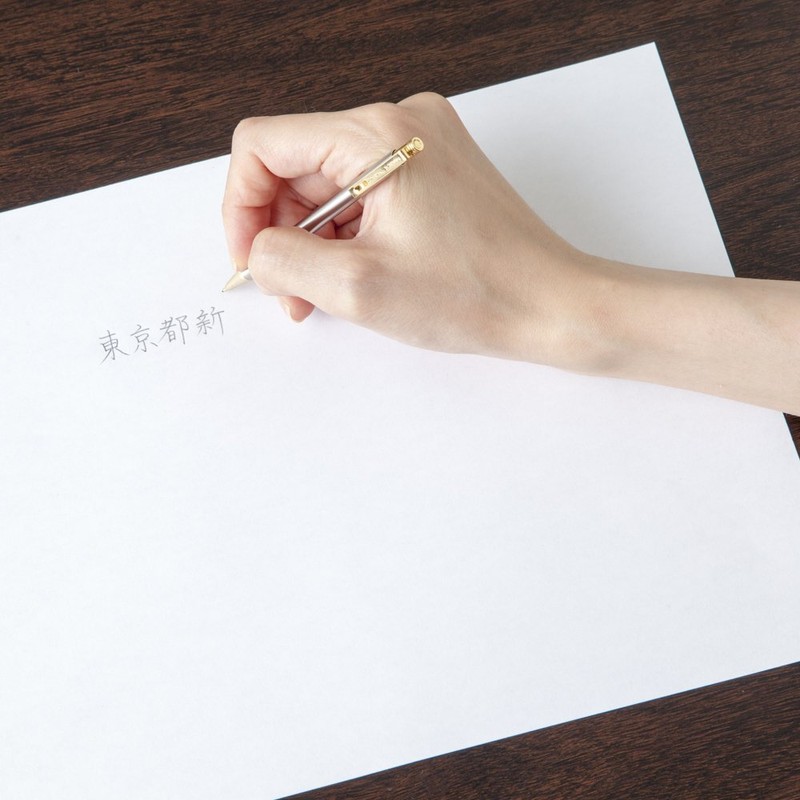 ZEBRA Mini Mechanical Pencil TS-5, 0.5mm, Silver with Gold Accent