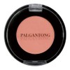 Parganton Eye Shadow M01