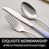 DINYWOW 20-Pieces Color Silverware Sets for 4,Blue and white Handle