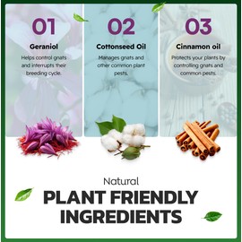 Eco Defense Gnat Spray for Indoor Plants – Fungus Gnat Killer & Houseplant Insect Control – Plant-Based Bug Spray for Houseplants & Indoor Gardening