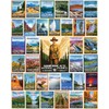 White Mountain Puzzles - National Park Posters - 1000 Piece