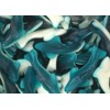 Bayside Candy Gummy Collection - Gummi Collection Blue Gummy Sharks