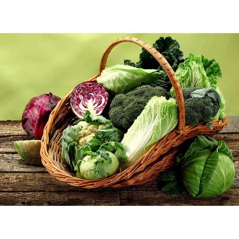 Italian Radicchio and Endive Chicory Mix Seeds for Planting About