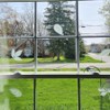 26PCS Leaf Window Bird Decals for Birds Strikes - Anti-Collision