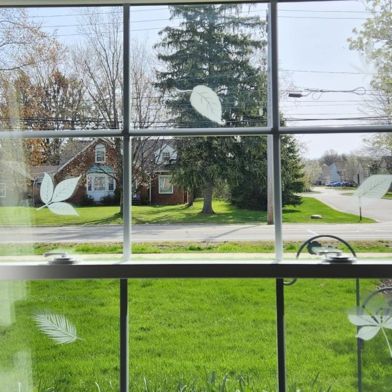 26PCS Leaf Window Bird Decals for Birds Strikes - Anti-Collision