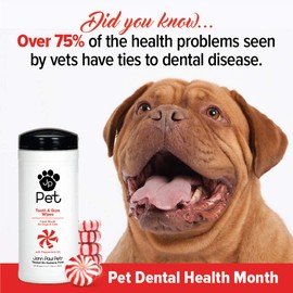 John Paul Pet Tooth & Gum Pet Wipes for Dogs and Cats, 2-in-1, Infused with Peppermint Oil, Safely Cleans Plaque, 45 Count