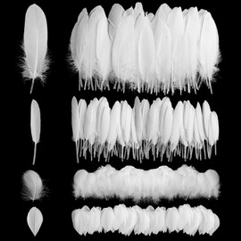 Pack of 300 White Feathers for Crafts, Natural Goose Feathers, Craft Feathers, Decorations for Dream Catchers, Crafts, Wedding, Party, Decoration, Tree Ornament, Craft, Jewellery, DIY Dresses
