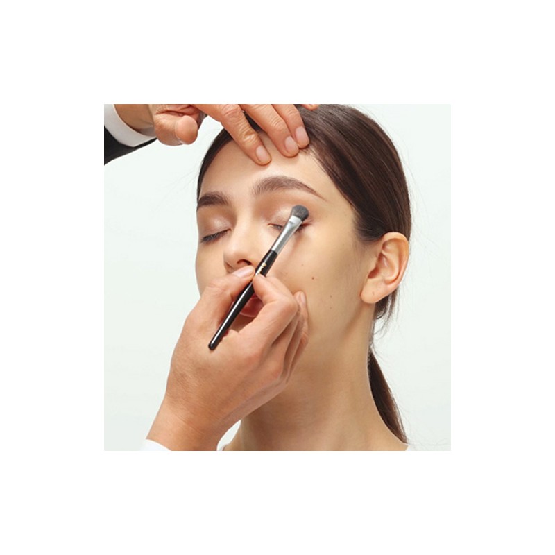 Studio 17 Eye Makeup Brush Set, Mixed Colors, 1 Piece