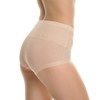 Angelina Women's Slimming High-Waist Cotton Briefs Panties with Mesh Waist