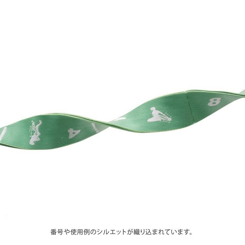 Sansha 91AH0001 Stretch Loop Band (Green) 37.8 x 1.6 x