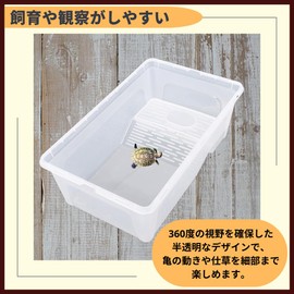 ideamall Turtle Aquarium, Turtle Tank, Turtle Box, Breeding Gauge, Sunbathing, Breeding Case, Box 9.8 x 6.7 x 4.3 inches (25 x 17 x 11 cm)