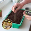 Soil Activator, Professional Bone Meal Fertilizer, Dirt Health Booster, Liquid