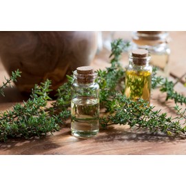 Earthcare Seeds Thyme Culinary Thyme 1,000 Seeds (Thymus vulgaris) Heirloom - Open Pollinated