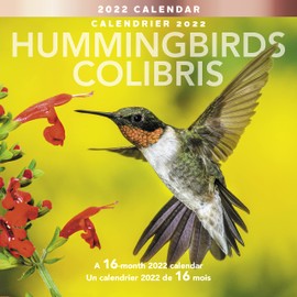 Mead 2022 Hummingbirds Wall Calendar, 12 x 12 Inches, Bilingual, 16-Months (LMF2021022)