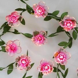 Curyidy Cherry Blossom Vines Fairy Lights, 40 LED Flower String Lights with Solar Power 8Modes, 13ft Flower Garland Leaf for Bedroom, Wall, Christmas Decorations