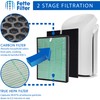 Fette Filter - Air Purifier Replacement Set Compatible with BioGS