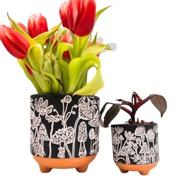 2 Terracotta Mushroom Planters | 5 and 3 inch | Clay Flower Pot with Drainage | Artisan Pots for Cacti & Houseplants (Raven Black)