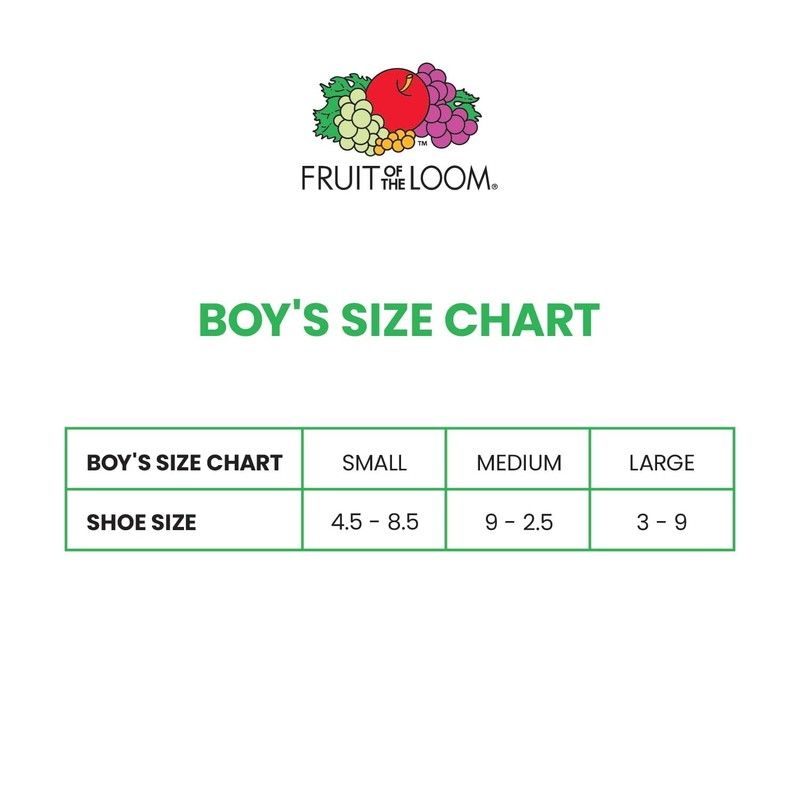 Fruit of the Loom Boys' Dual Defense Ankle Socks (10