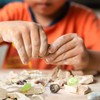 Dino Fossil Dig Kit for Kids 4-12 Discover Learn with