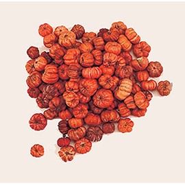 Worth Imports Natural Miniature Orange Pumpkin Pods, 3/4 in, Box of 2 LBS, 1LB Equals to 16 Cups
